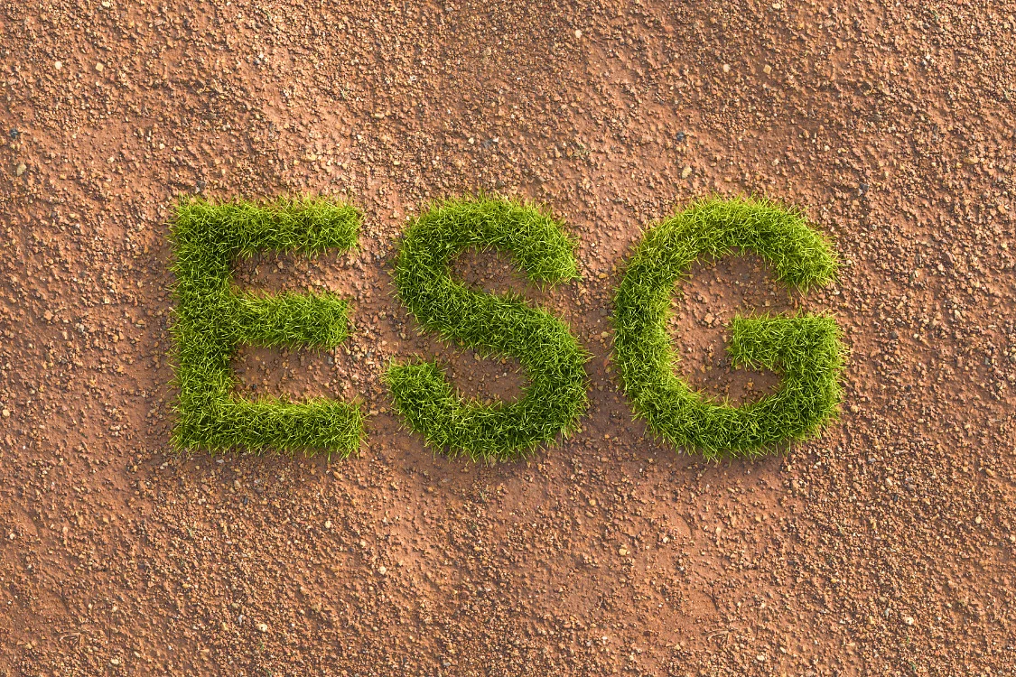 What Are The ESG Criteria?