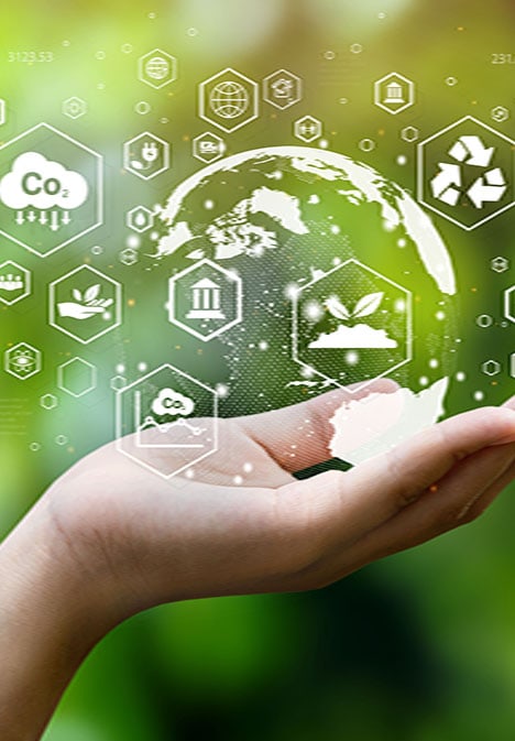 Environmental Factors